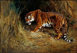A Prowling Tiger (olie på lærred lagt om bord)