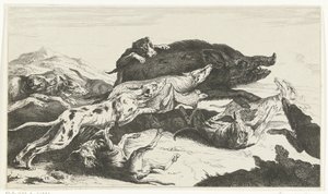 Hunde jagter en orne