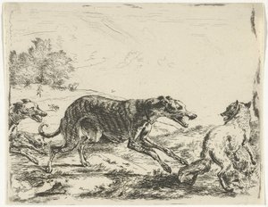Ræv og tre hunde