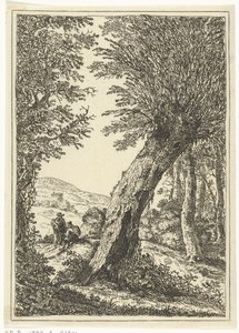 piletræ