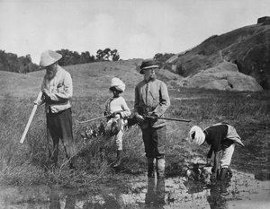 Indien: Snipejagt, 1870