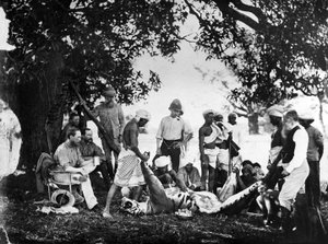 Skinning the Tiger, ca. 1870