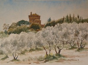 883 Pal Massaini, nr Pienza af Wilson Clive