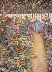 Børnenes bog om havearbejde: A Herbaceous Border (farvelitografi)