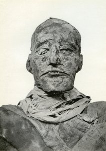 Leder af Rameses III