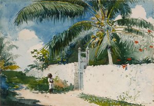 En have i Nassau af Winslow Homer