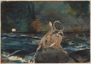  af Winslow Homer