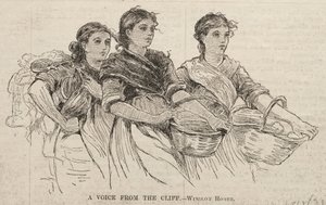 En stemme fra klippen af Winslow Homer