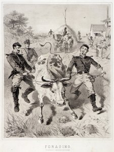Skitser af kampagnen: Fouragering af Winslow Homer