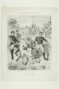 Skitser af kampagnen: Fouragering af Winslow Homer