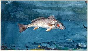 Kanalbas af Winslow Homer