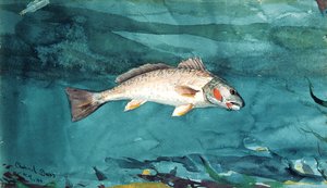Kanal bas af Winslow Homer