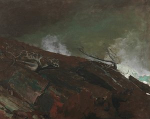 Kyst af Maine af Winslow Homer