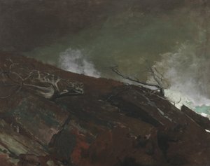 Coast of Maine, 1893 af Winslow Homer