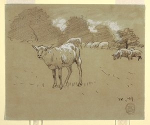 Tegning, Får der græsser på en mark, ca. 1875-78 af Winslow Homer