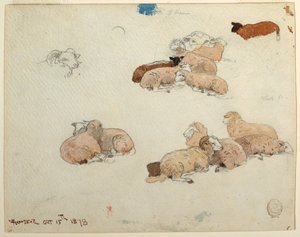 Tegning, hvilende får, 15. oktober 1878 af Winslow Homer
