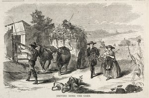 Driving Home the Corn, 1858. af Winslow Homer