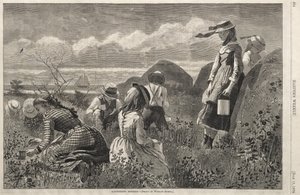 af Winslow Homer