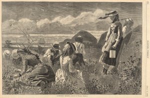 Gathering Berries, fra Harper af Winslow Homer