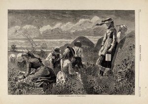 Gathering Berries, fra Harper