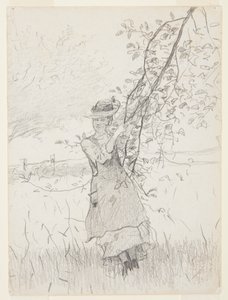 Pige, der holder en gren af et æbletræ af Winslow Homer
