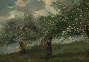 Pige plukker æbleblomster af Winslow Homer