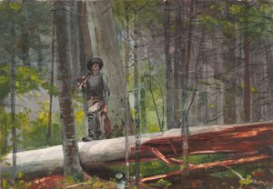  af Winslow Homer