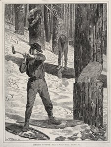  af Winslow Homer
