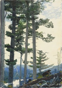 Gamle nybyggere af Winslow Homer