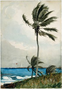 Palmetræ, Nassau af Winslow Homer