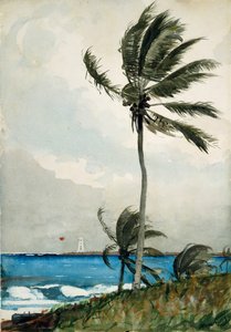 Palmetræ, Nassau, 1898. af Winslow Homer