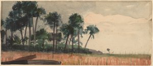 Palmetræer, rød af Winslow Homer