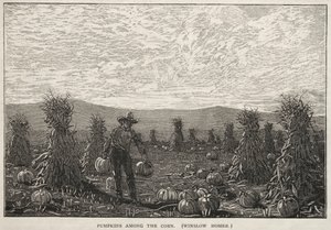 Pumpkins Among the Corn, 1878. af Winslow Homer