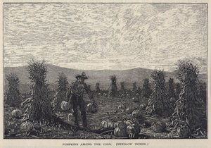 Pumpkins Among the Corn, fra Scribner
