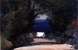 Road in Bermuda, ca. 1899-1901 (akvarel over blyant på papir) af Winslow Homer