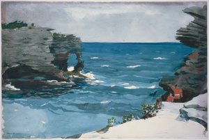  af Winslow Homer