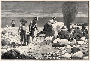  af Winslow Homer