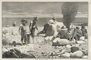  af Winslow Homer