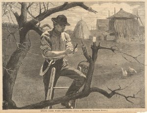 Spring Farm Arbejde af Winslow Homer