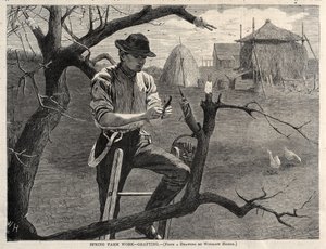 af Winslow Homer