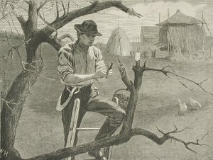  af Winslow Homer