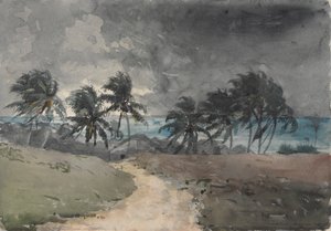 Storm, Bahamas af Winslow Homer