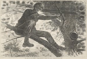  af Winslow Homer