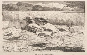 Fuglefangerne af Winslow Homer