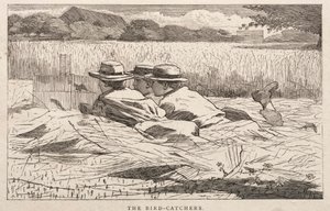 Fuglefangerne, 1867. af Winslow Homer