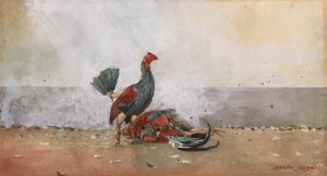 Hanekampen af Winslow Homer
