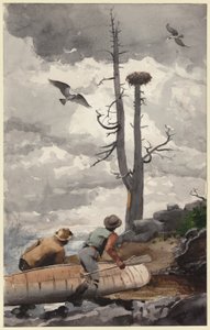 Ørnereden af Winslow Homer