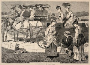 The Picnic Excursion, fra Appletons