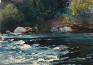 Rapids, Hudson River, Adirondacks af Winslow Homer