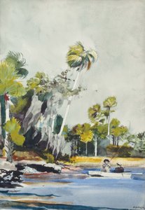 Dyngen af skaller af Winslow Homer